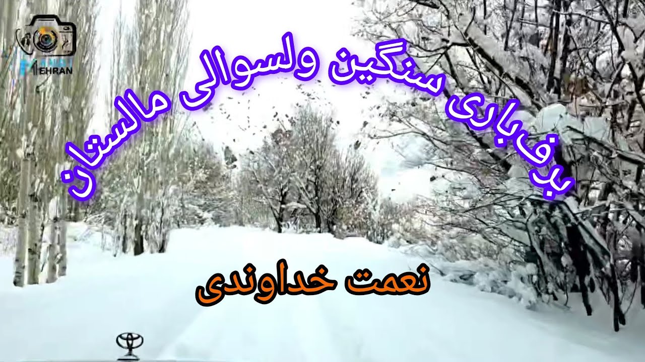 برف‌باری سنگین در ولسوالی مالستان ولایت غزنی، از کامره مهران#snow #snowfall #زیبایی #زادگاه #viral 