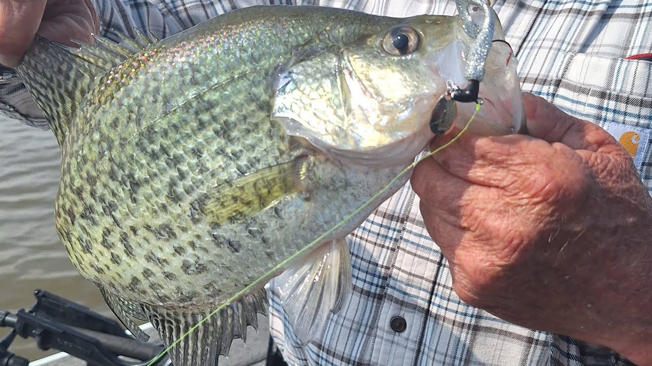 Longlining Kentucky Lake Crappie 4/26/25 Action Packed Long Version