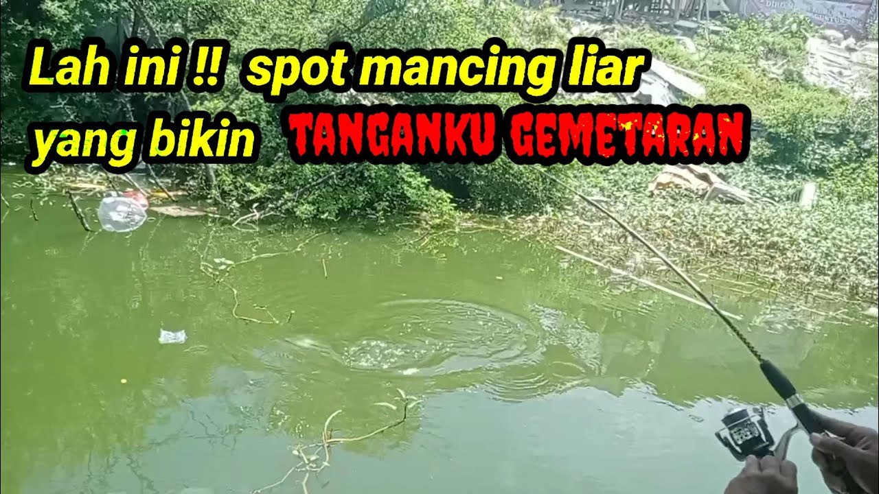 Sambutan mesra penghuni spot mancing liar terbaru. #Strike#Mancingliar@Jaddahmancing