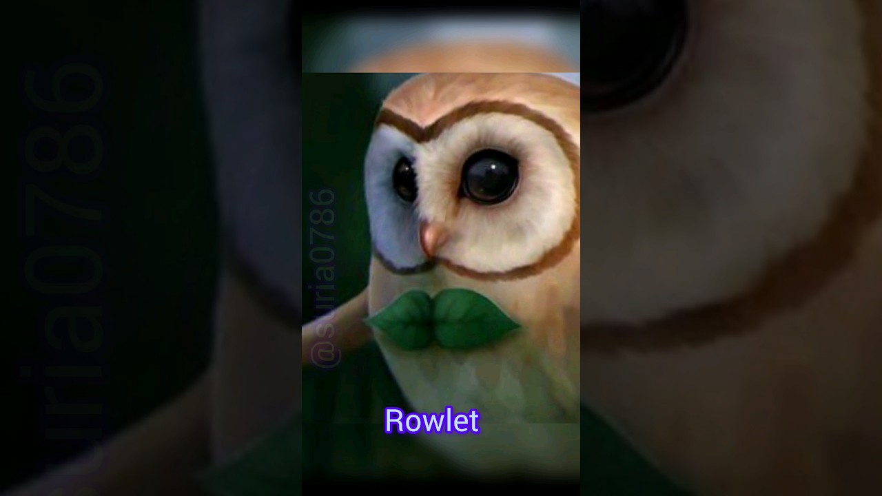 If Rowlet was real?| Rowlet pokemon evolution #anime #shorts