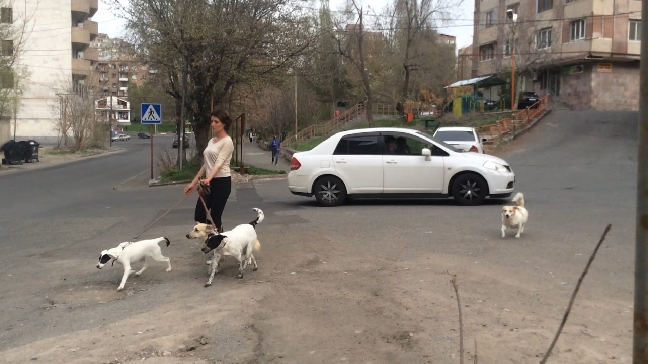Yerevan, 21.04.17, Fr, Video-1, Lvovyan poghots
