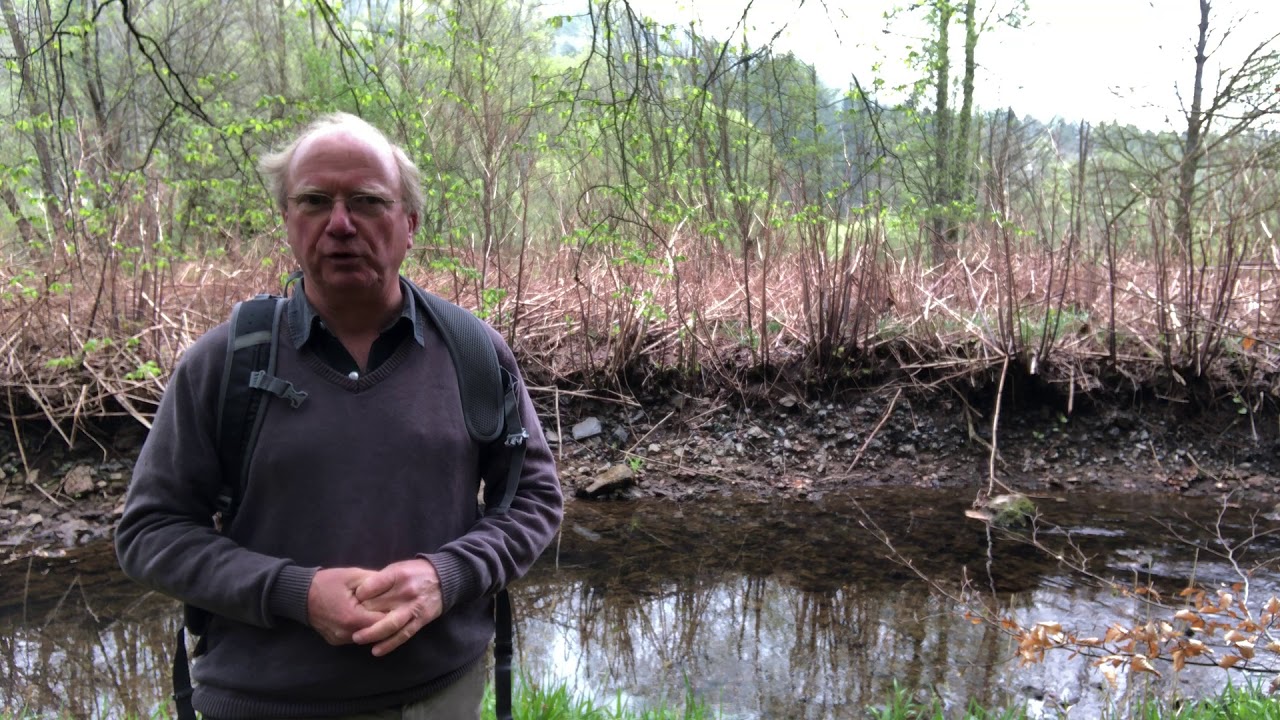 Schlacke im Salmtal