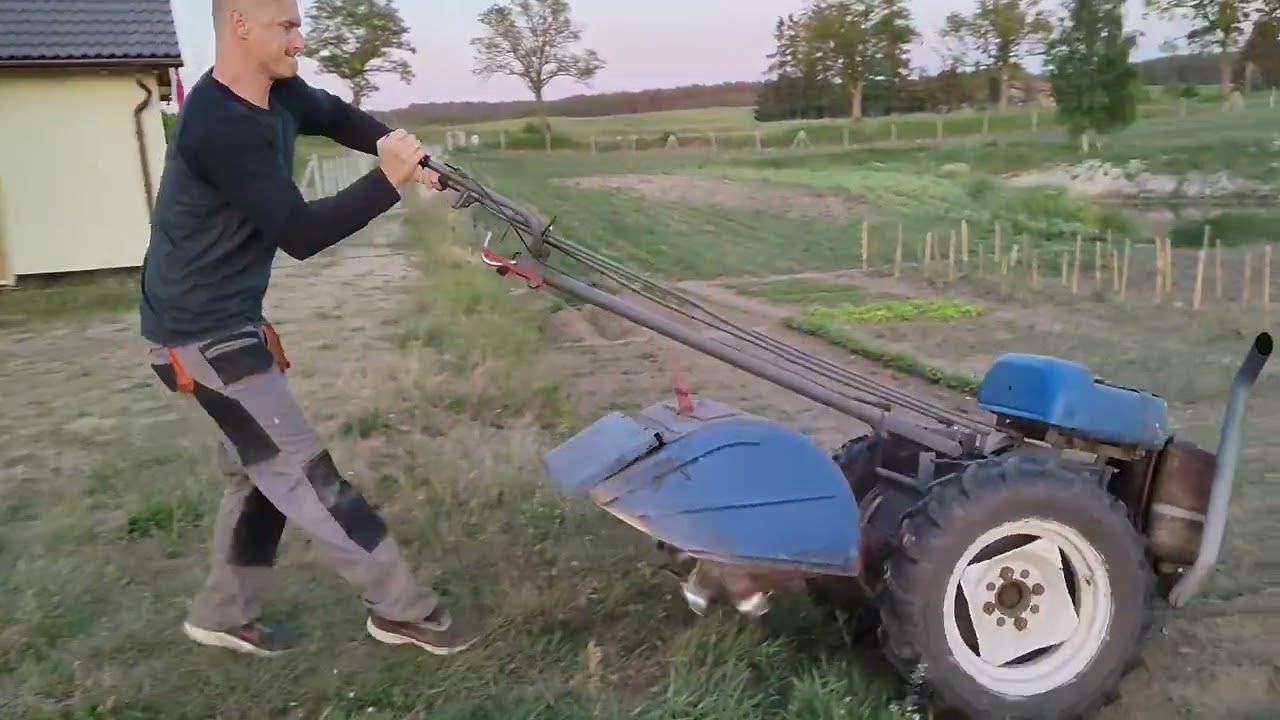 Ekologicze plewienie chwastów w ogórkach - Ursus c 308