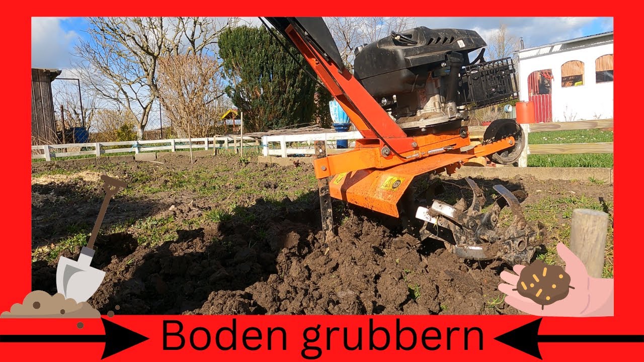 Bodenbearbeitung für die Saison und einpflanzen von Spragel und Honigbeere...