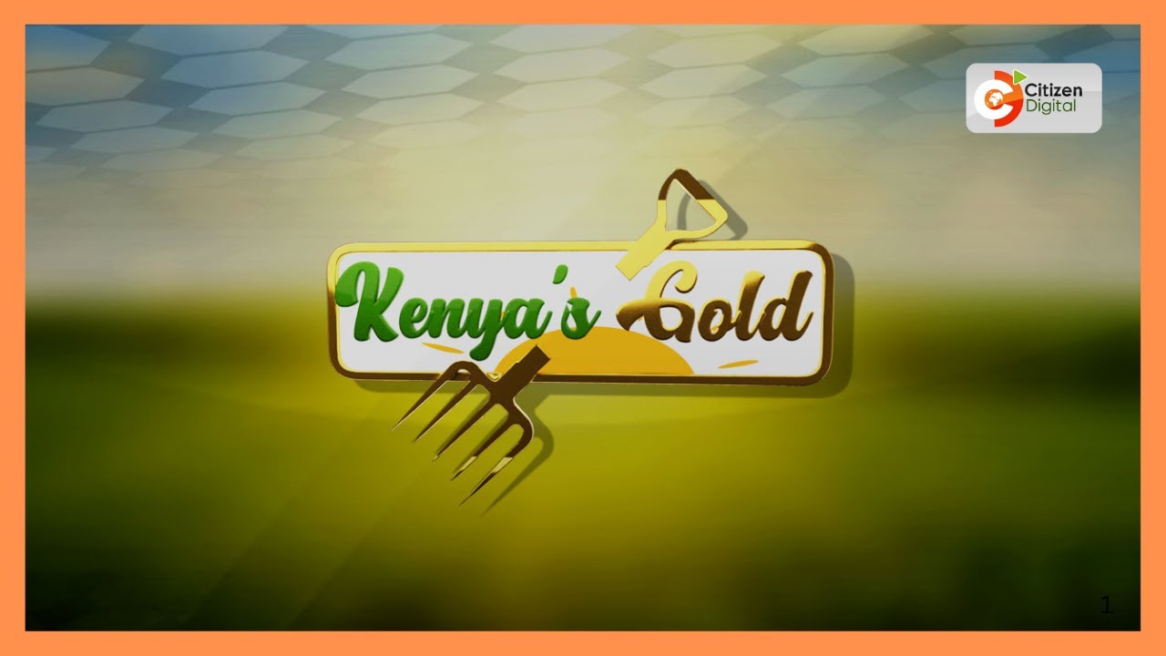| Kenya's Gold | Gold Feature | Focus on Mixed Farming