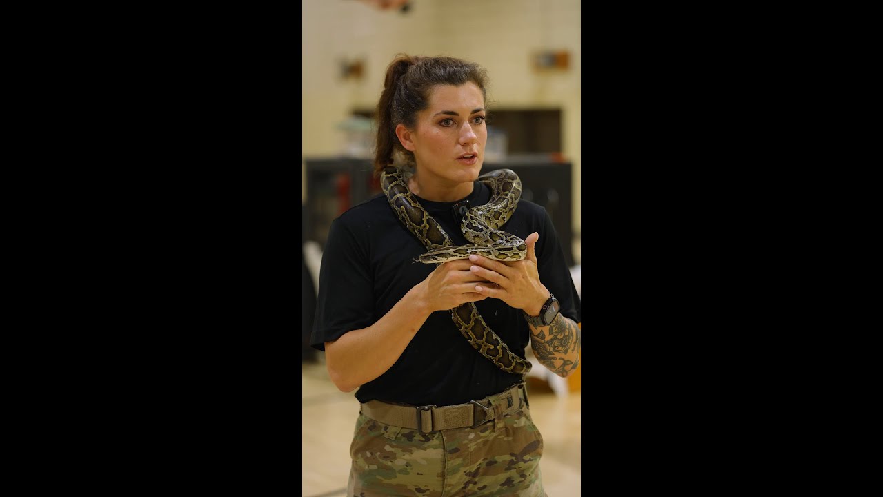 Army vs. Reptiles  