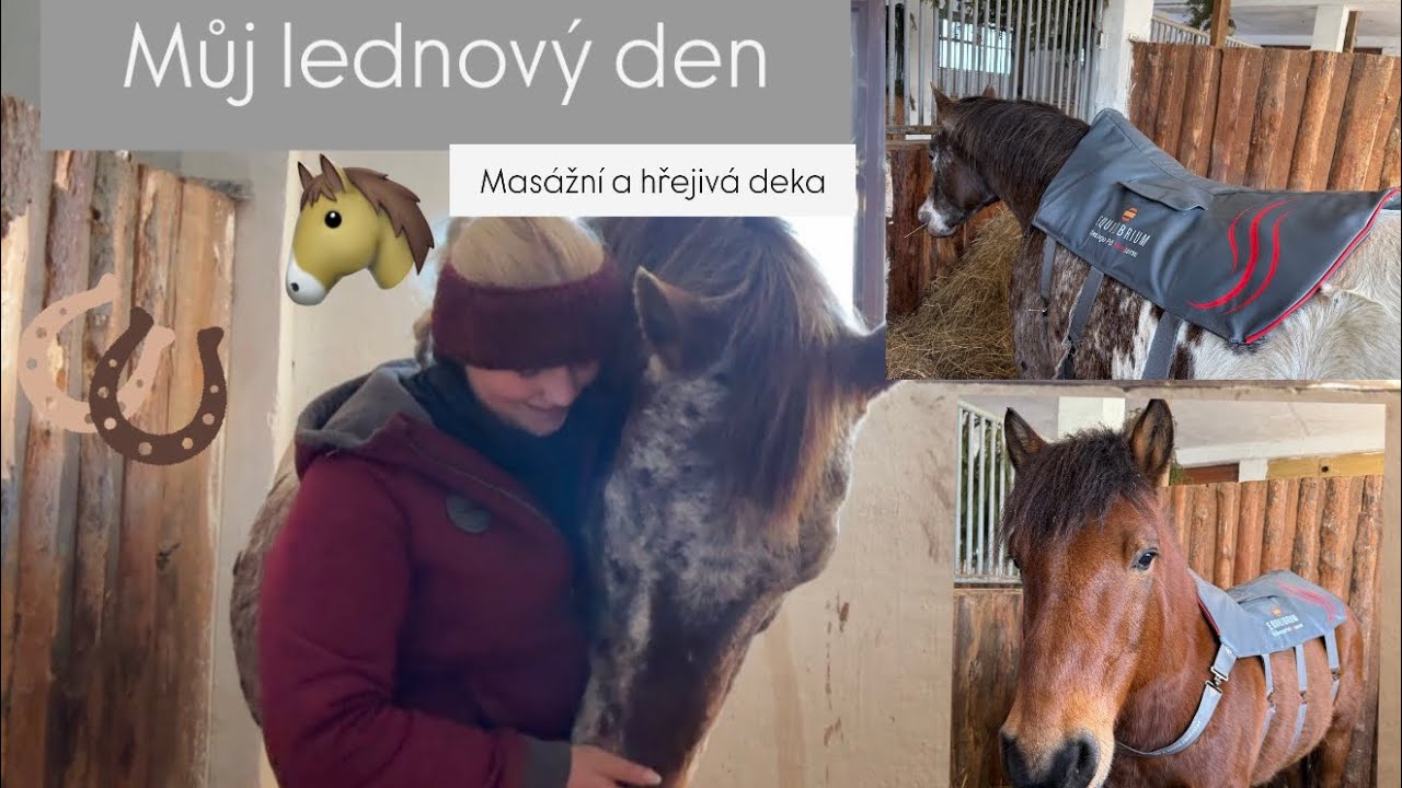 Můj den 🐴