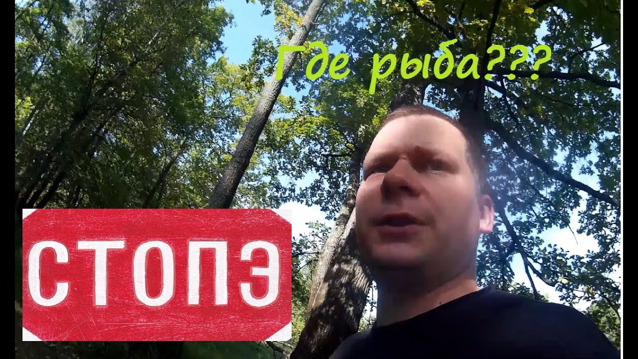 КАК НАУЧИТЬСЯ ЛОВИТЬ РЫБУ РЕКА КЛЯЗЬМА ПЕТУШКИ. КРАСИВЫЙ ЛЕС. РЫБЫ НЕТ. НЕУДАЧНАЯ РЫБАЛКА. ВЛОГ #1