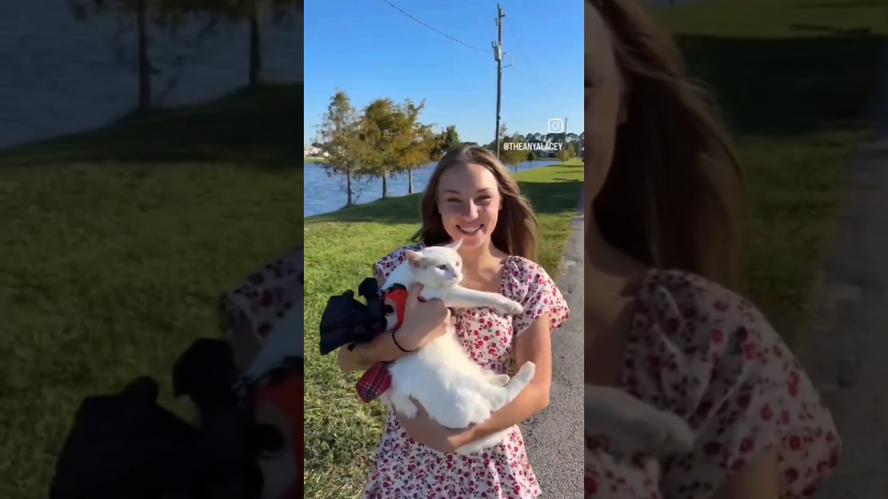 #собеседование #python #бизнес #программирование