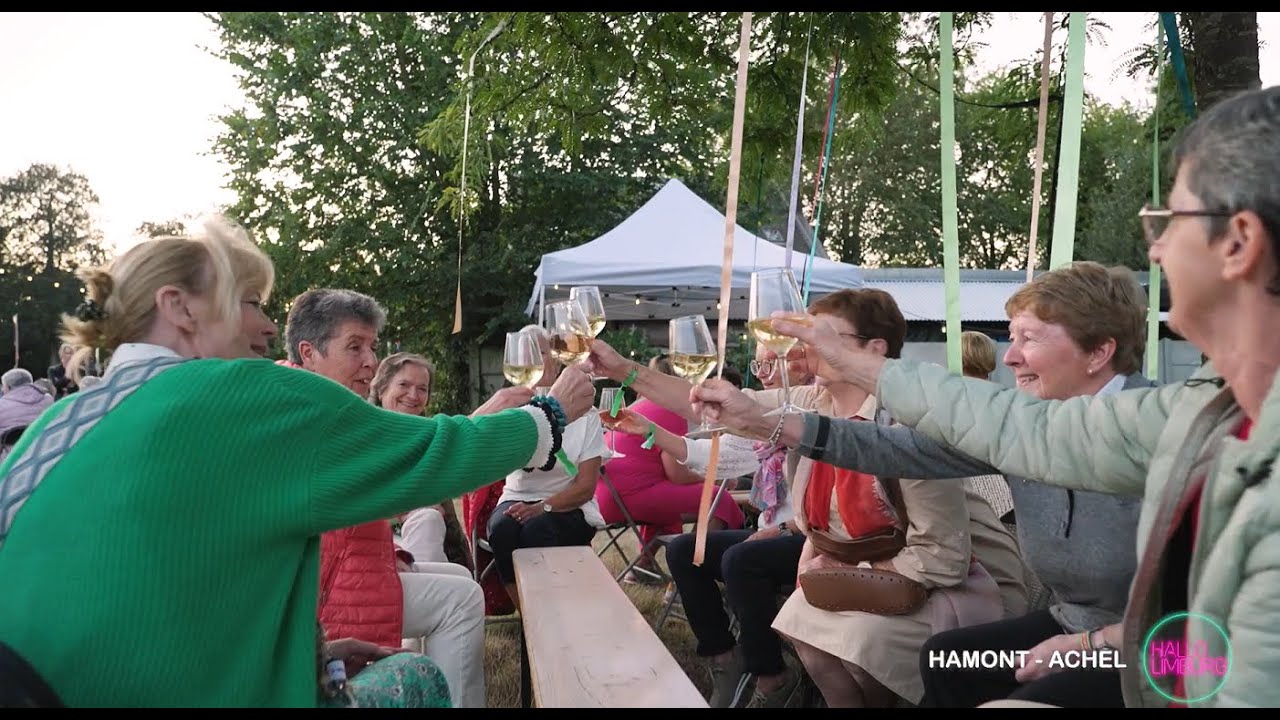 Hallo Limburg: Stad Hamont-Achel bedankt vrijwilligers met Hambiance!