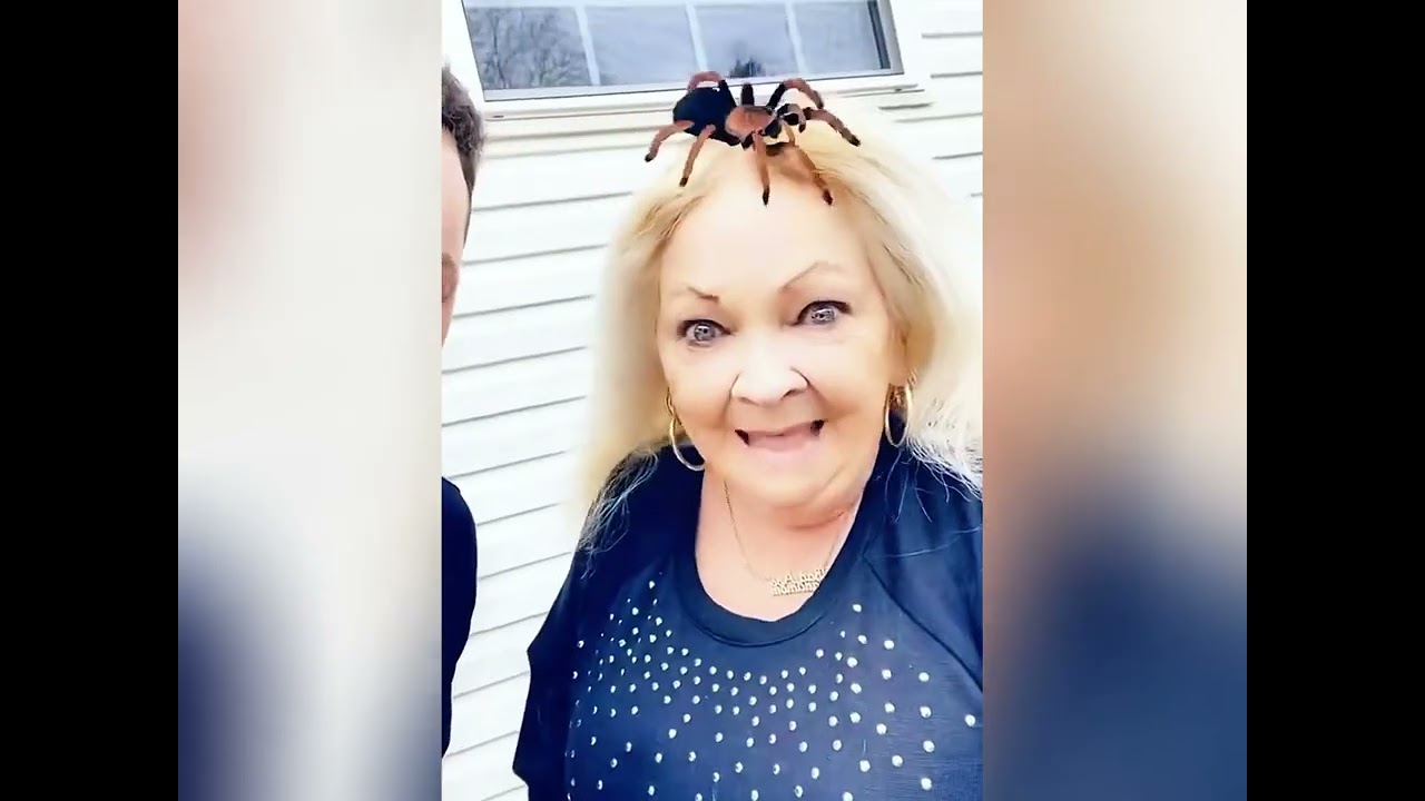 I Tried to Be Helpful and Immediately Regretted It