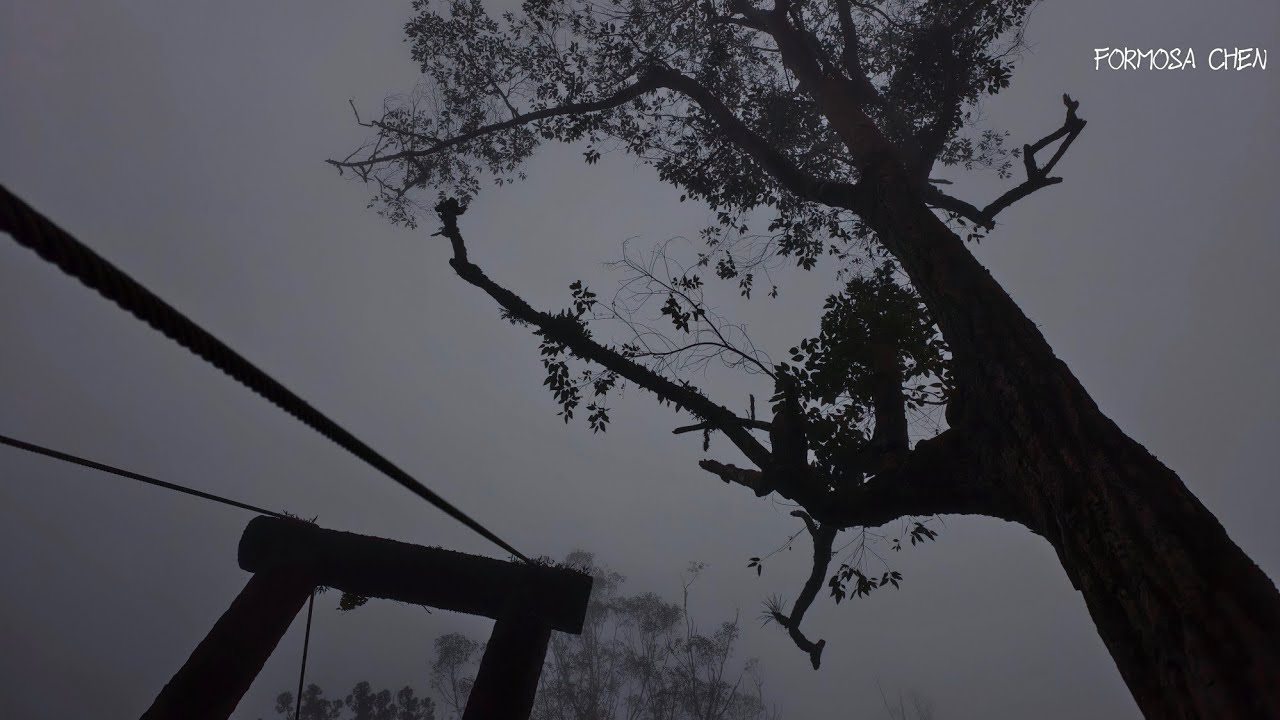 🎬《2025 年健行音樂劇回顧》