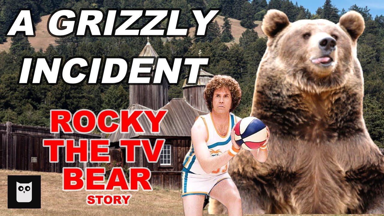 Rocky the TV Bear Tragedy