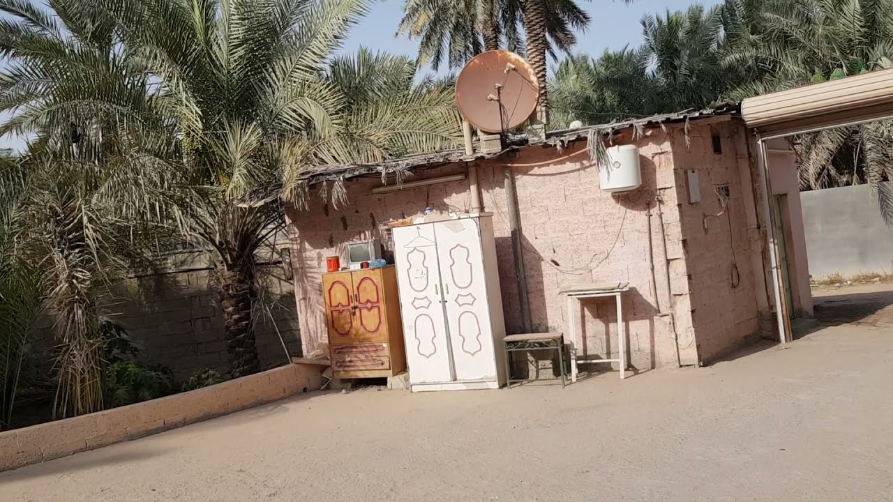 مزرعة للبيع في البطالية 💸 3 ملايين و 200 ألف