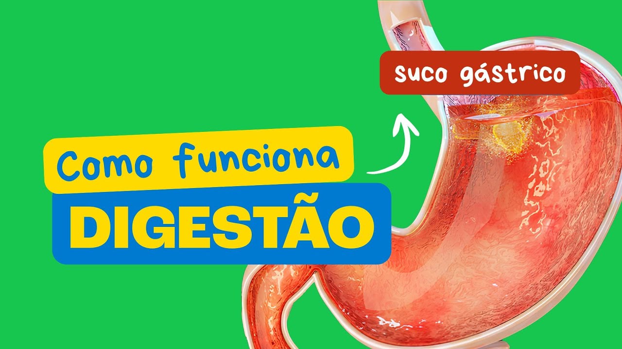 O Segredo da Digestão dos Alimentos