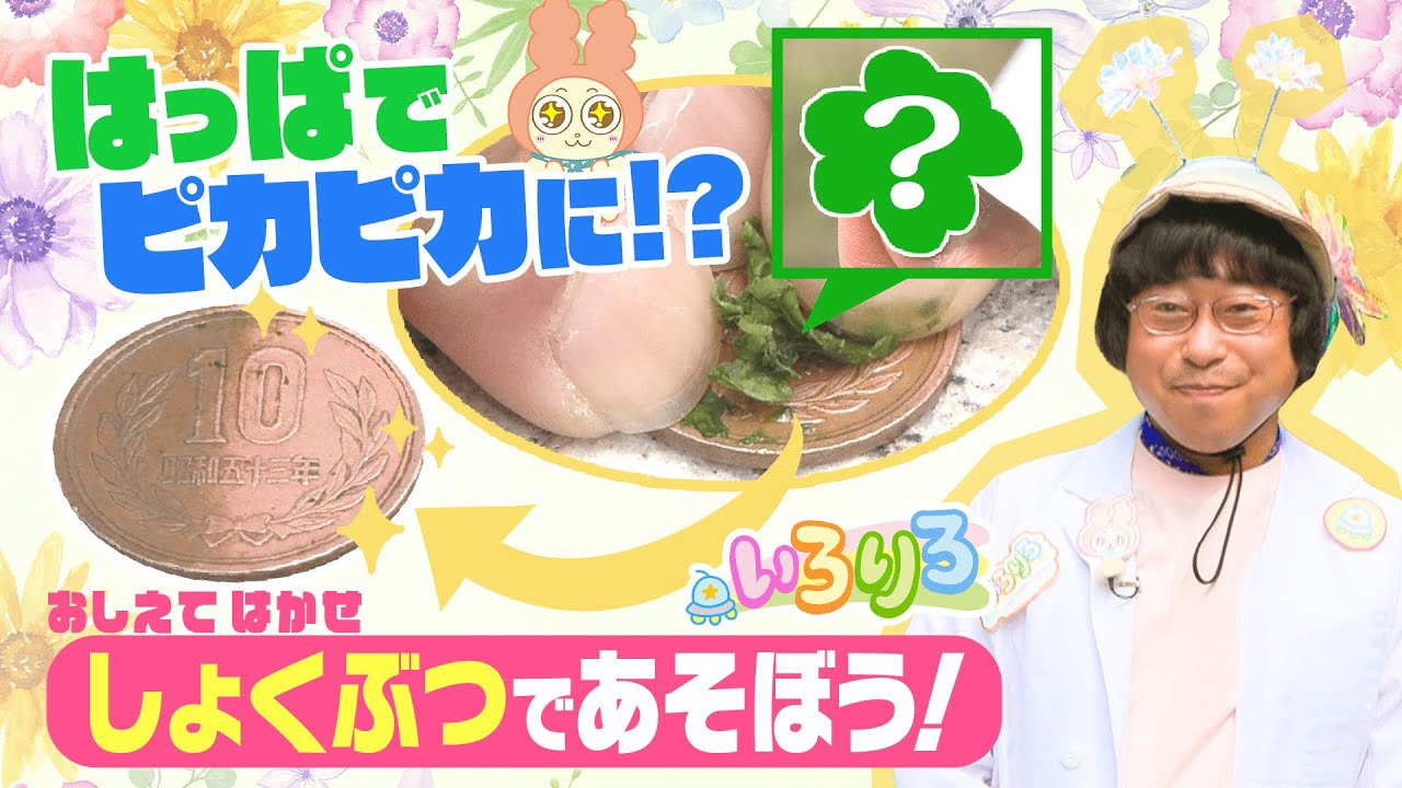 公園のお花であそぼう！│植物博士がお花や草の遊び方を伝授│未就学児・幼稚園・保育園│【いろりろ公式】