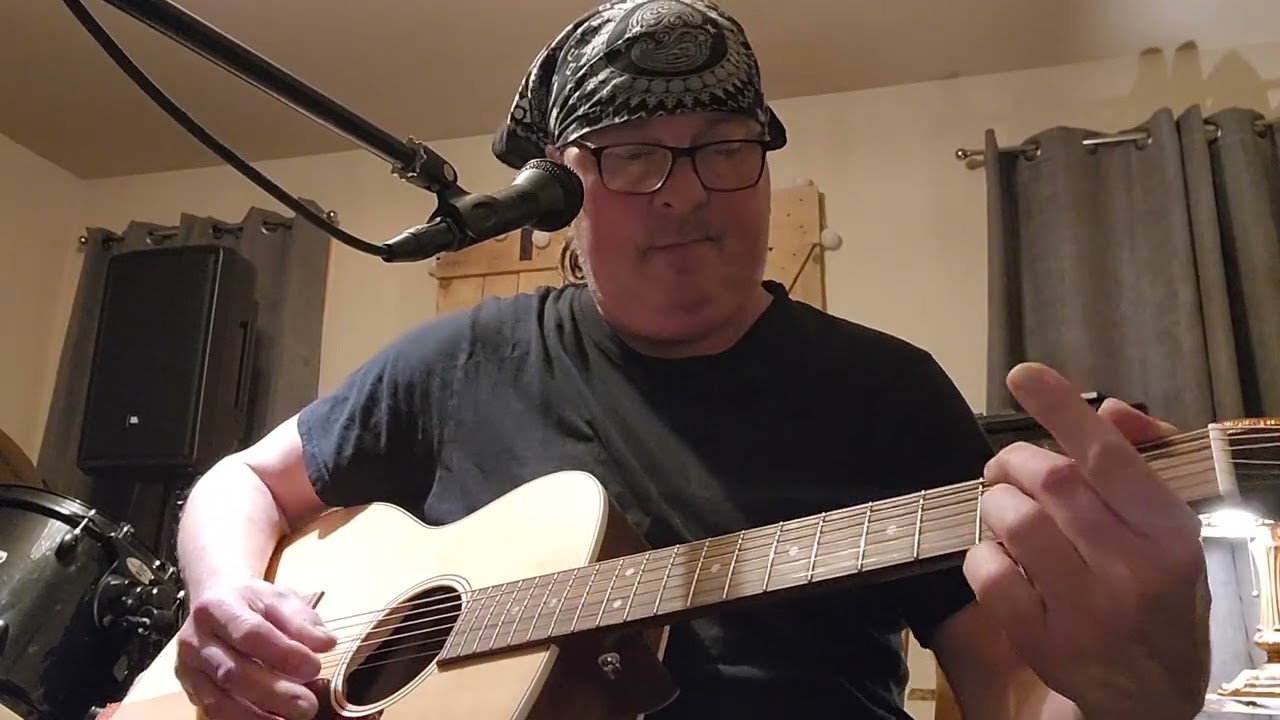 Passenger cover  w loop pedal.....Iggy Pop