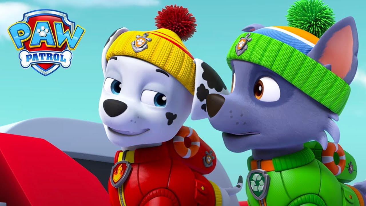 En narhval er forsvundet! | PAW Patrol På Dansk Tegnefilm for børn