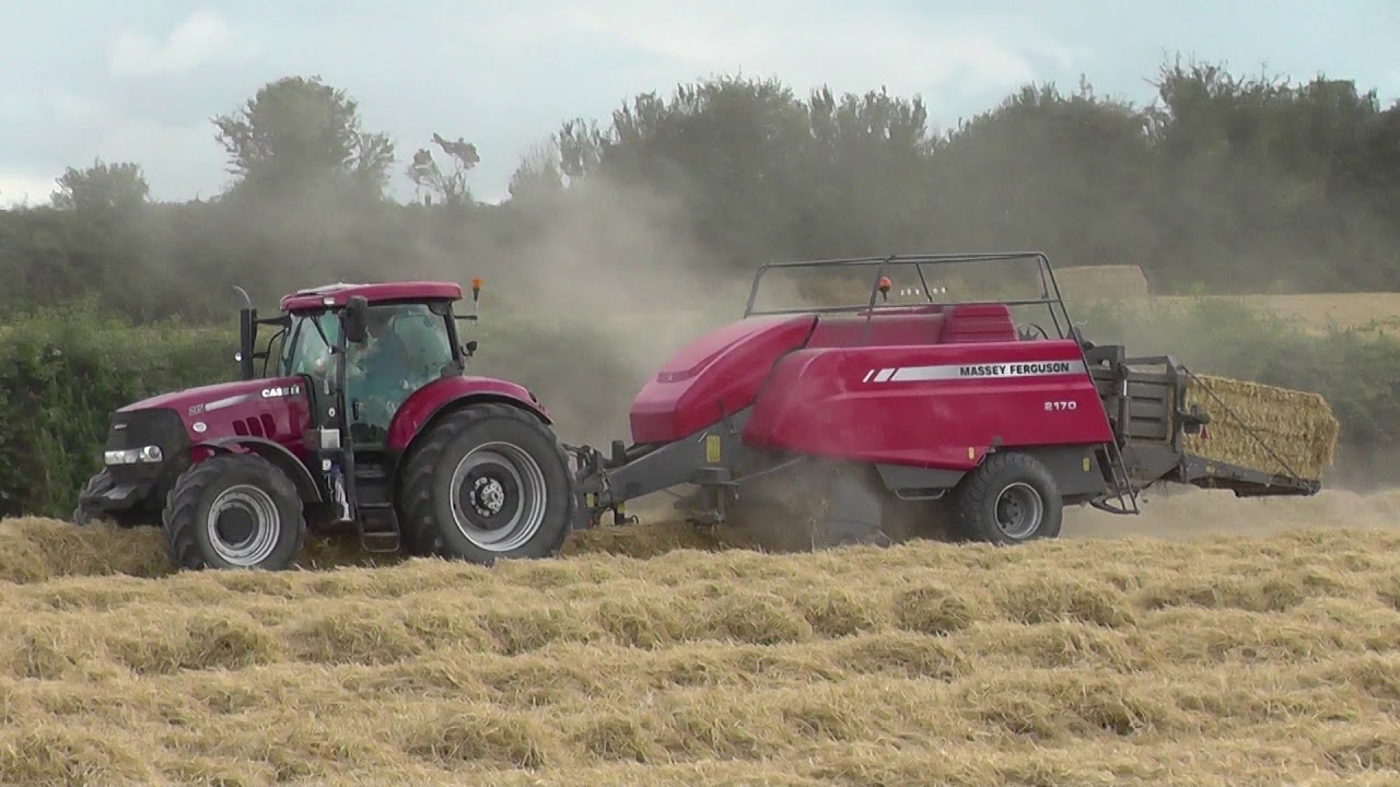 Harvest 2019 Twomey Farms Part 2