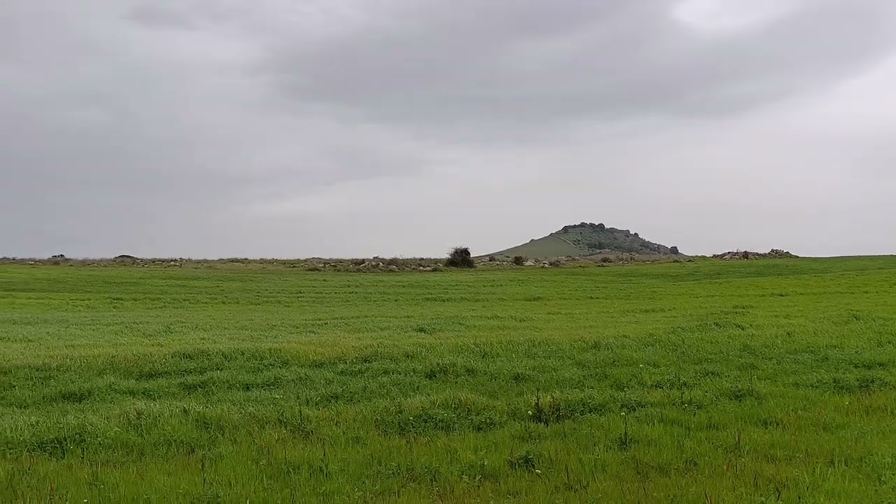 Nobil Causa