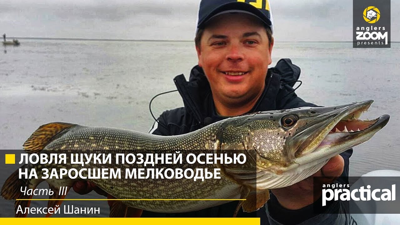 Ловля щуки воблерами поздней осенью на заросшем мелководье. А. Шанин. Часть 3. Anglers Practical