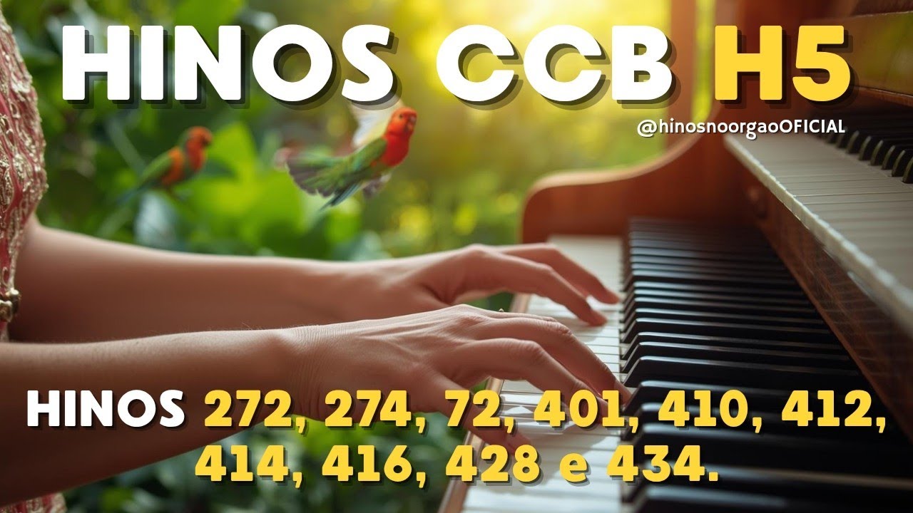 HINOS CCB H5. 272, 274, 72, 401, 410, 412, 414, 416, 428 e 434.