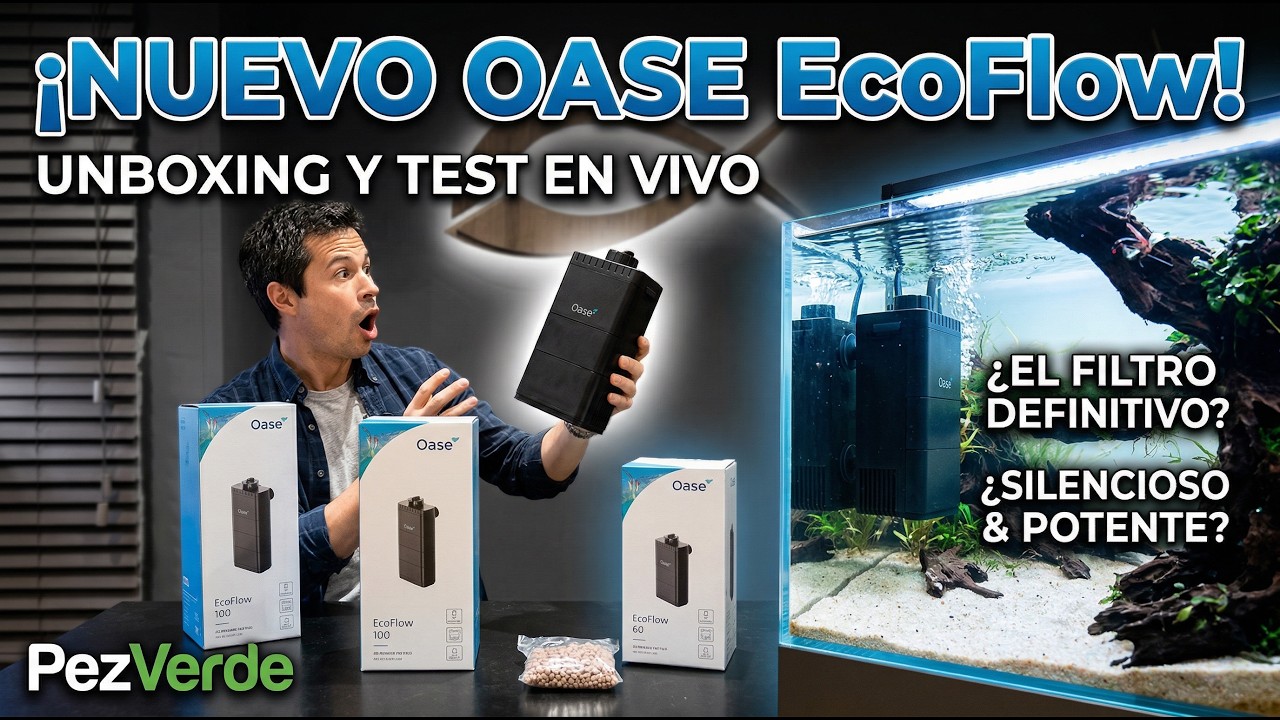Nuevo OASE EcoFlow: El filtro interno silencioso y potente que tu acuario esperaba | PezVerde