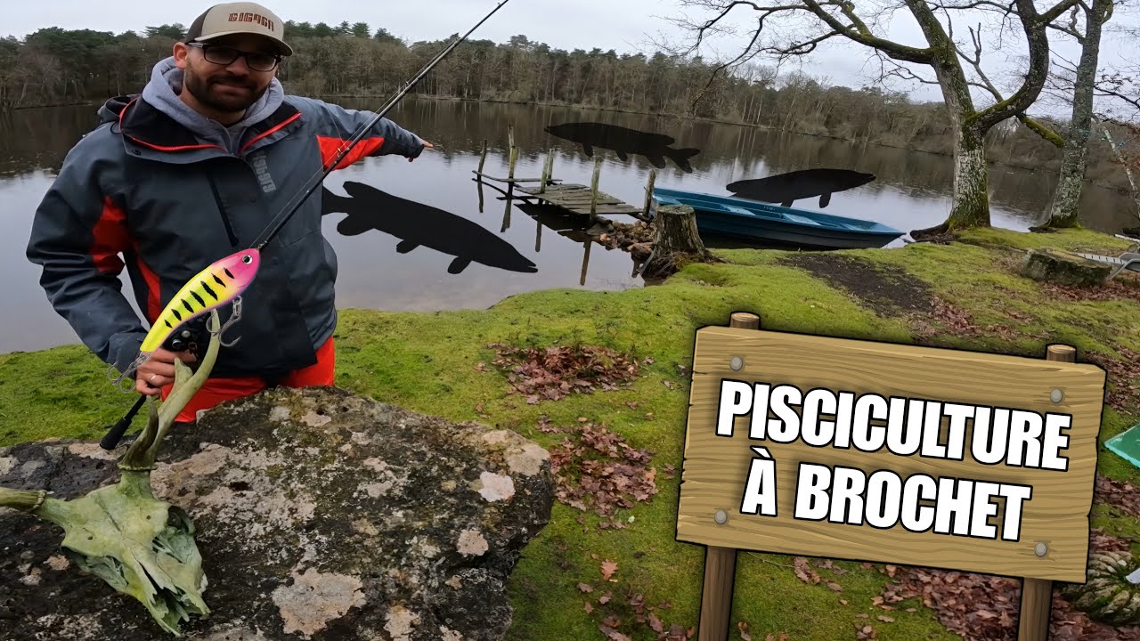 Ces ÉTANGS de CHASSE en SOLOGNE sont infestés de BROCHETS et on les PÊCHE AU LEURRE !