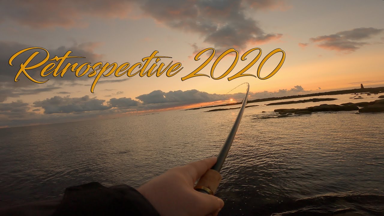 Mes plus belles Sessions pêche du Bar 2020