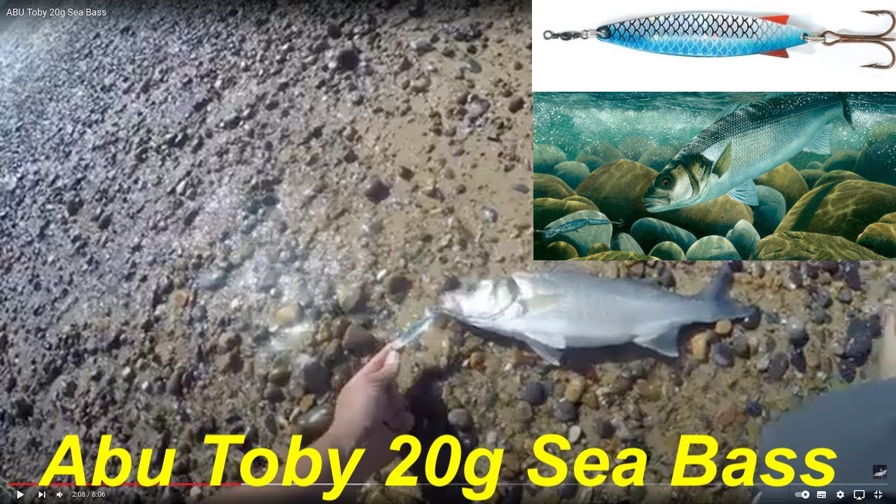 ABU Toby 20g Sea Bass