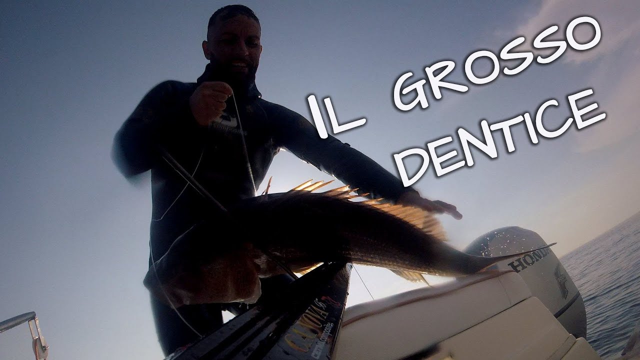 Il grosso dentice - VAN 4x4 - R1 [ Michele Giurgola ]