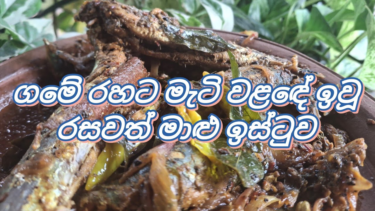 ගමේ රහට මැටි වළඳේ ඉවූ රසවත් මාළු ඉස්ටුව | No Voice Over | Sri Lankan Fish Stew @Rasa Para