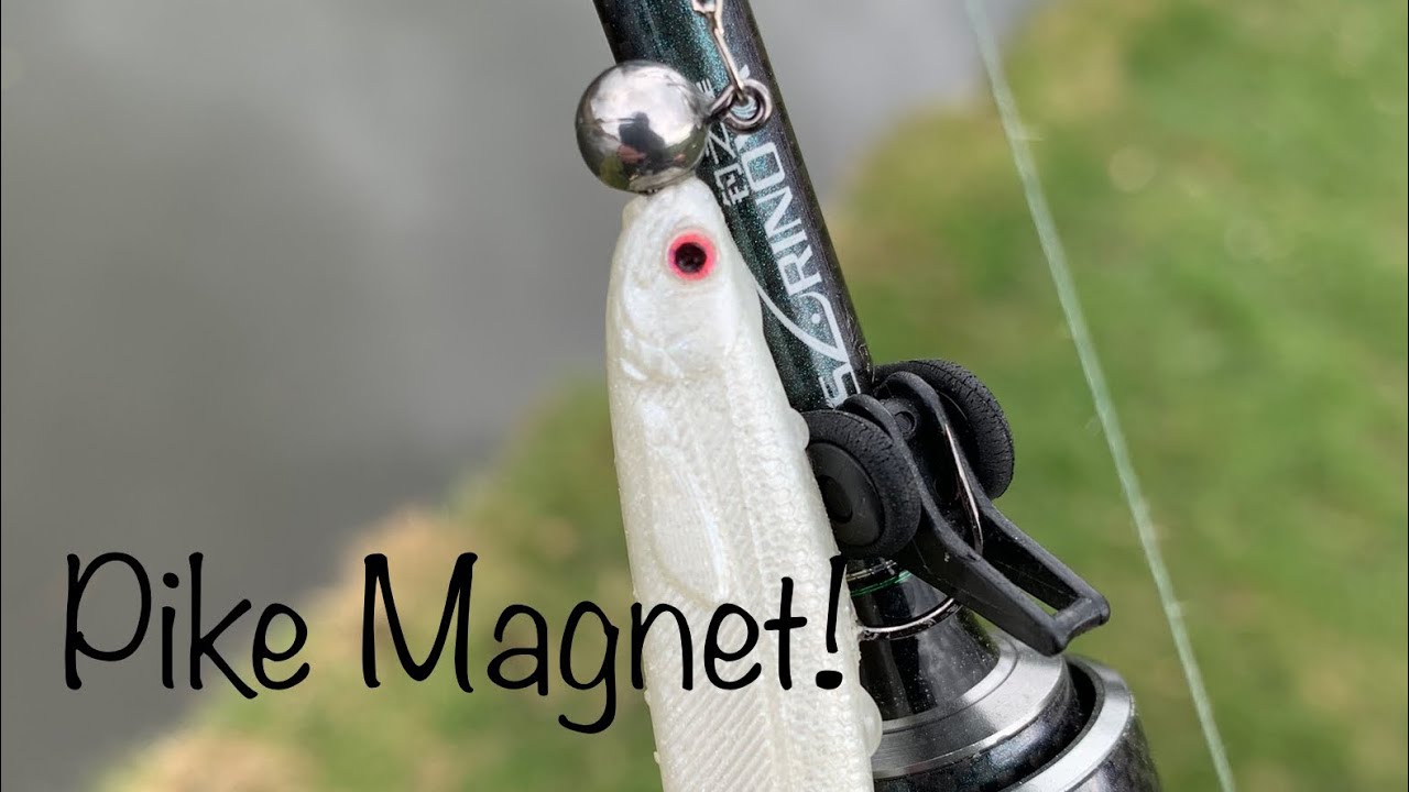 BFS Lure fishing - UK Canal Fishing with the Westin Shadteez