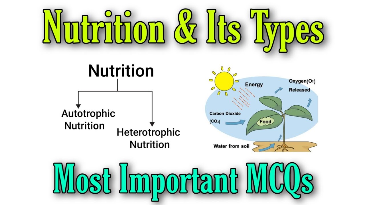 Part-01 || Mcqs on Nutrition and its types||Jkssb