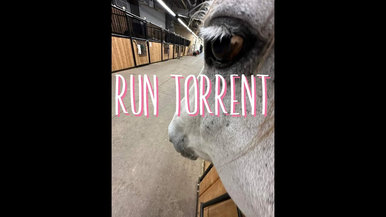 Average Tree Sentinel Horse Fight