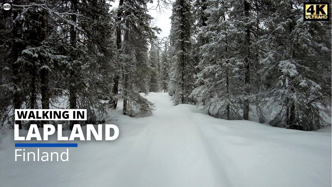 Winter Snow Forest Walk in Lapland Finland (Pallas-Yllästunturi National Park)