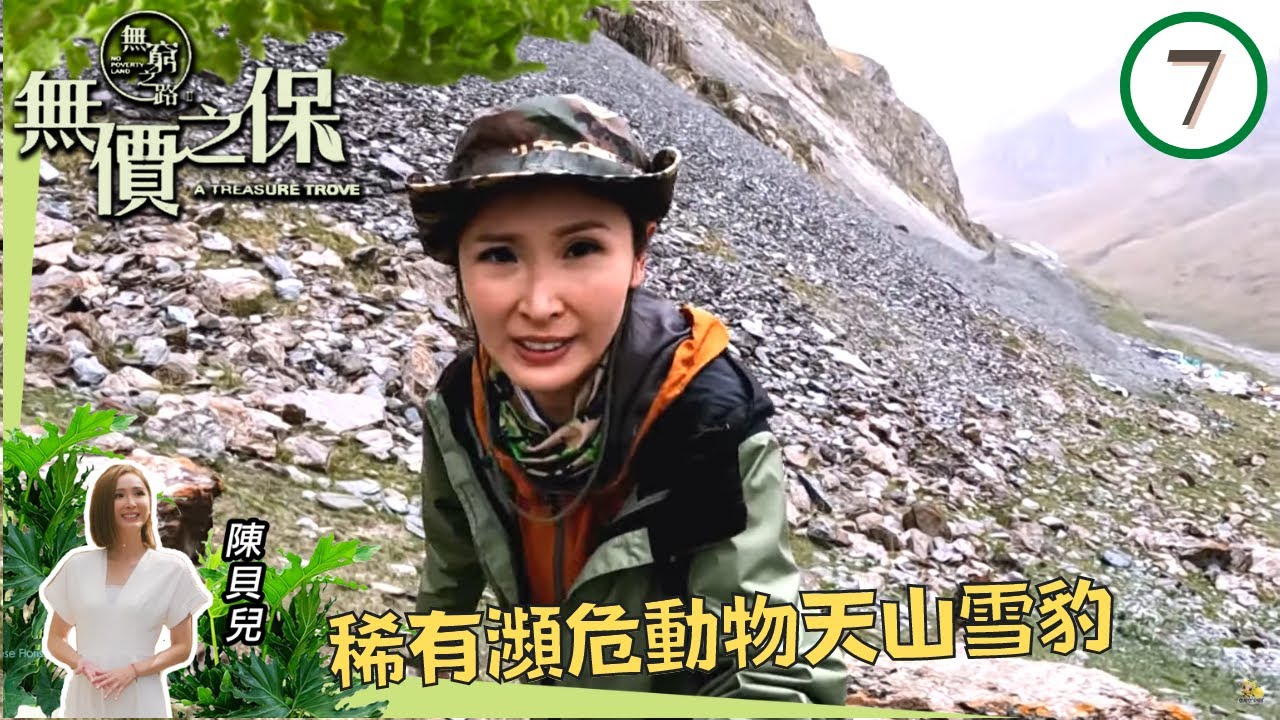 陳貝兒  稀有瀕危動物天山雪豹 | 無窮之路 II - 無價之保 #07 | 陳貝兒 | 粵語中字 | TVB 2022