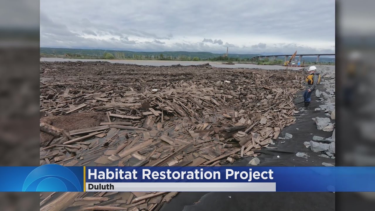 $19 million habitat restoration project near Duluth nearly finished