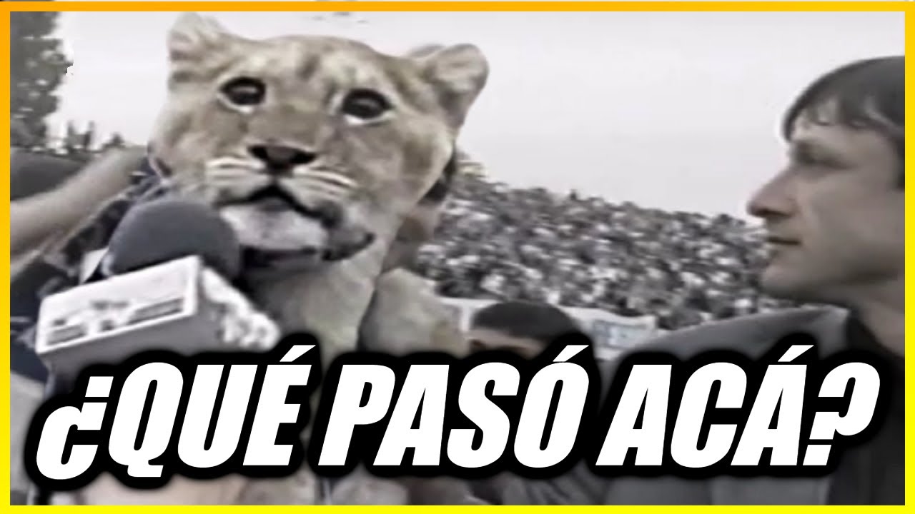 🦁❓ Cuándo, dónde y POR QUÉ JORACA APARECIÓ ESTE LEÓN EN UNA CANCHA DE FÚTBOL