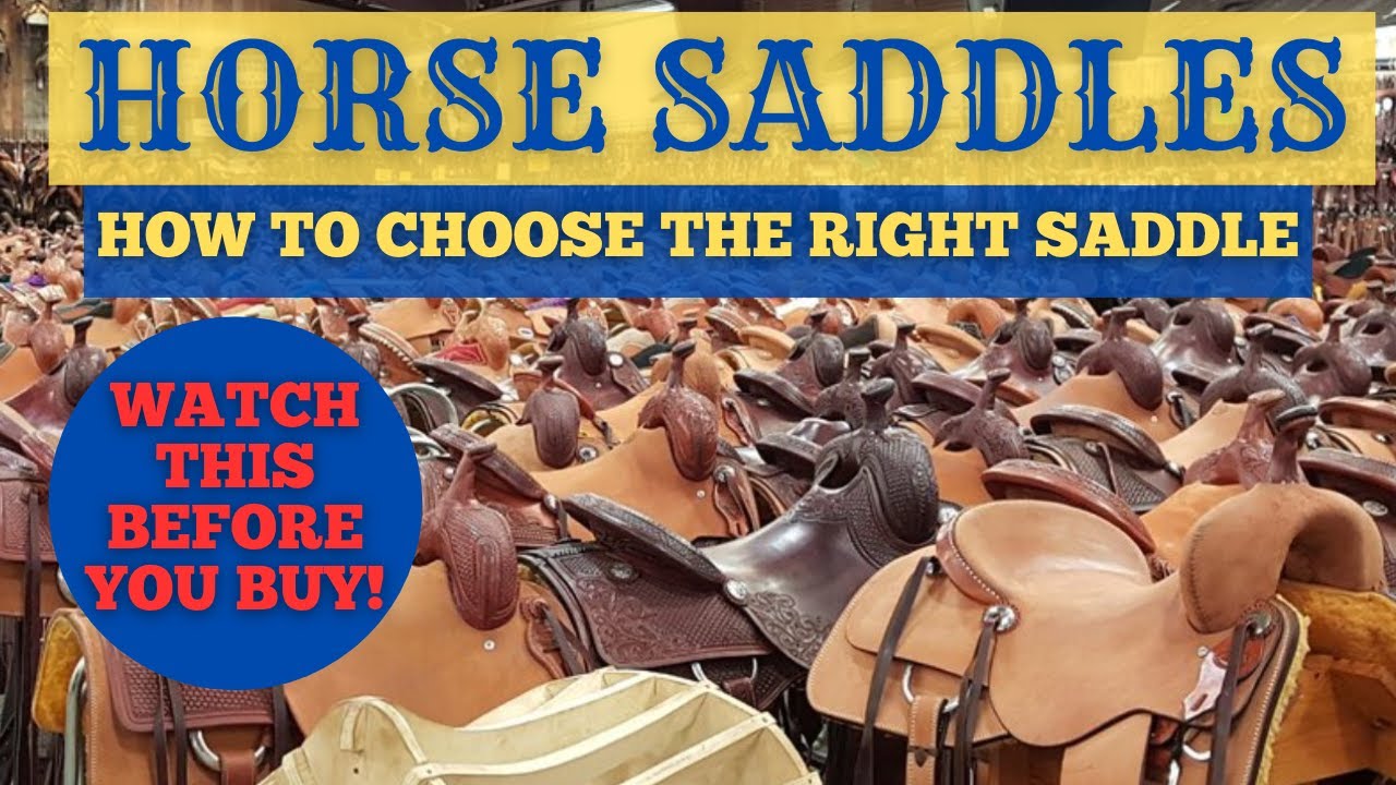 Watch This Before You Buy A Horse Saddle!
