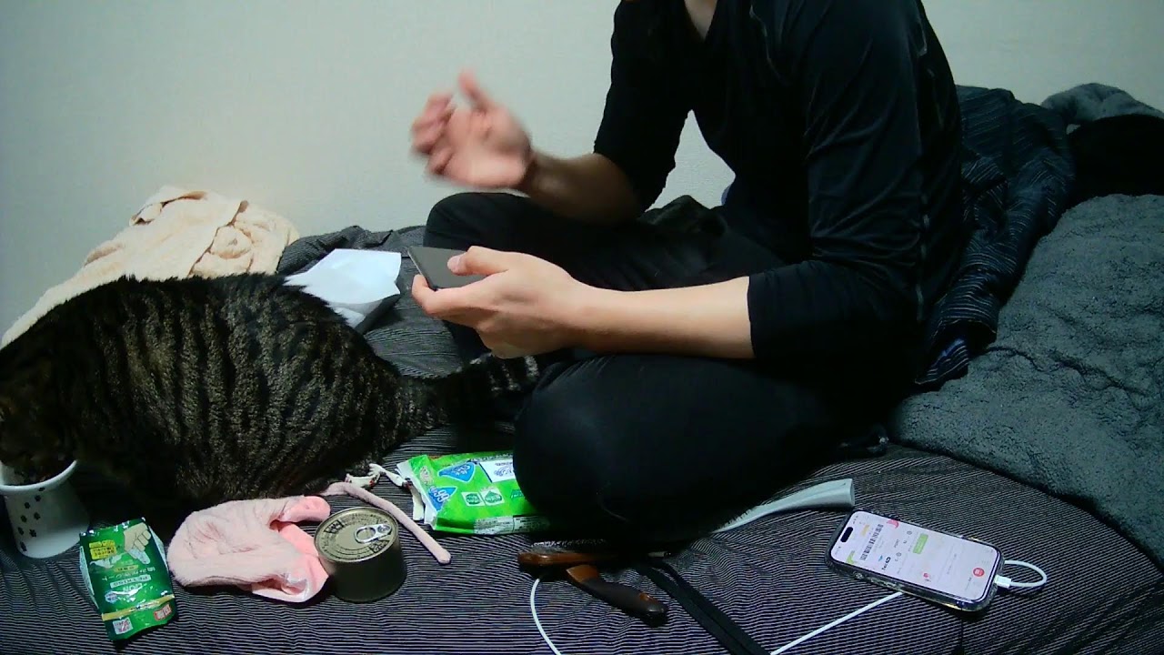 真・しま監視中