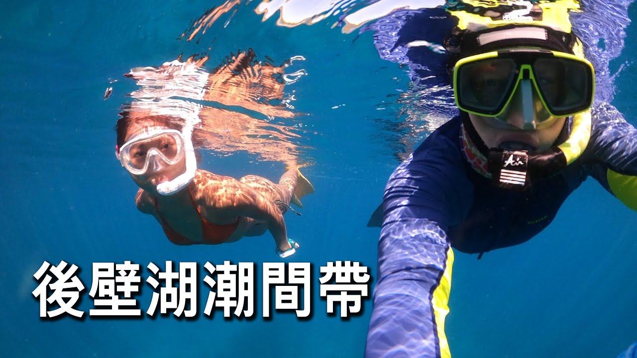 Coral Garden Freediving