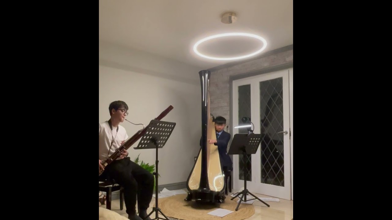 Jan 2026 — The Girl with the flaxen hair - La fille aux cheveux de lin Claude Debussy arr. Rui Lopes