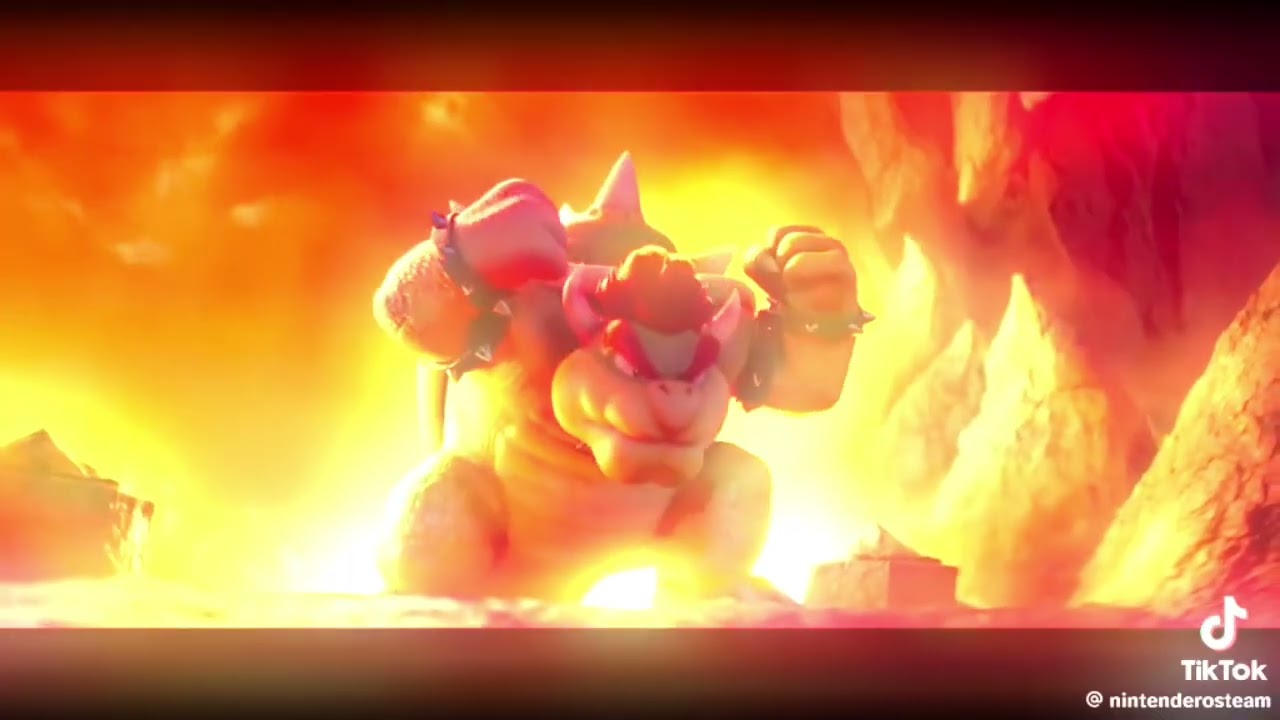 Bowser vs shadow ￼
