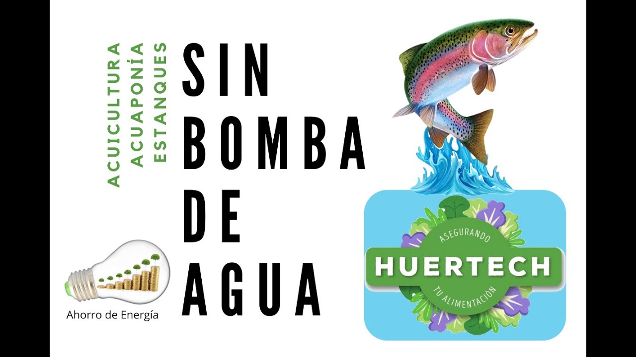 Acuaponía sin bomba de agua ganador al Premio a la Innovación Sustentable Aqua Green 2020