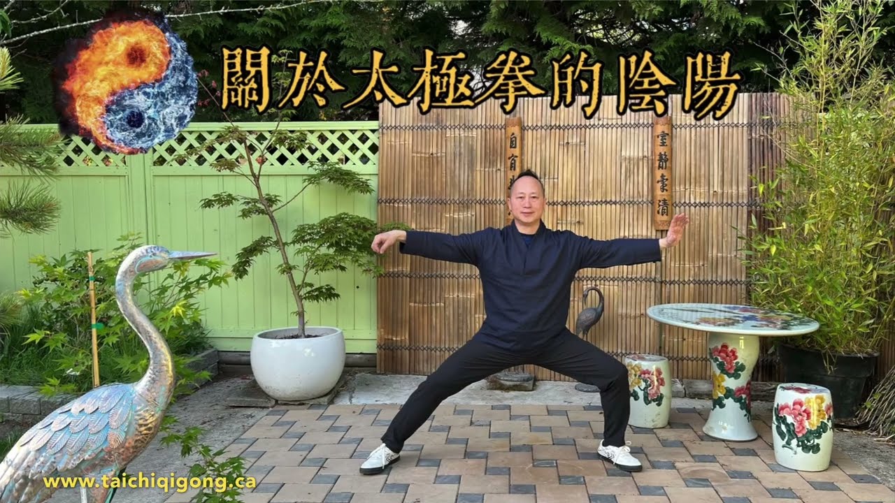 關於太極拳的陰陽