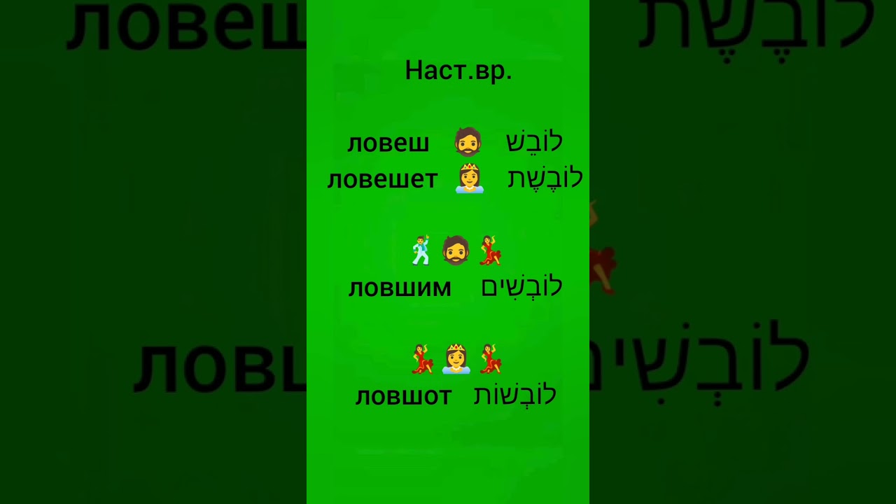 verbele ,,lehitlabéş,, vs ,, lilibóş,, aîmbraca.  ivrit.ro. Ebraica pentru metapelet.
