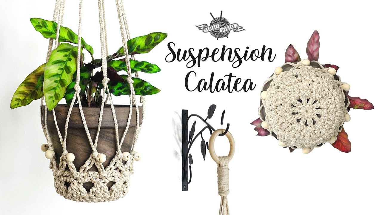 SUSPENSION plante 