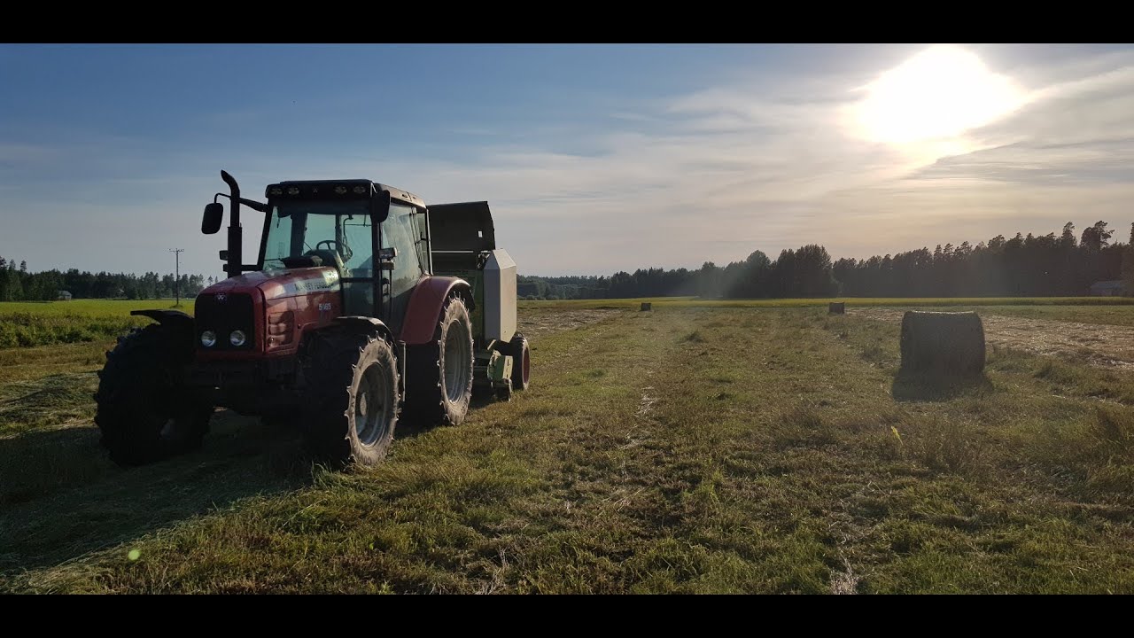 Hay and silage 2020 on a sheep farm, Massey Ferguson 5465, John deere 6410 and case 4230