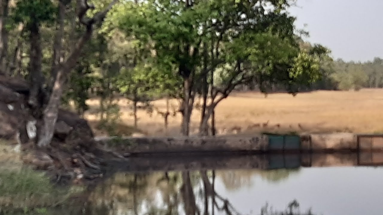 Madhya Pradesh mini travel vlog